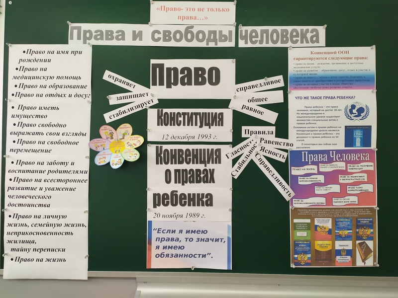 Открытый урок «Права и свободы человека»