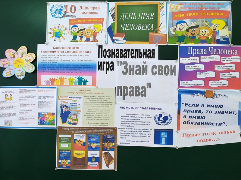 10 декабря мы отмечаем важную дату — День прав человека!