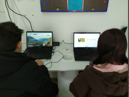 Всероссийский экологический диктант.