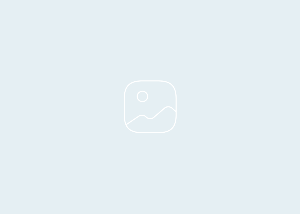 Активисты первичного отделения Движение Первых МБОУ « Леоновская СОШ» приняли участие во Всероссийской акции 